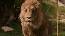 NARNIA: Greta Gerwig's Upcoming Movie May Have Found Its Aslan In Oscar Winner Meryl Streep