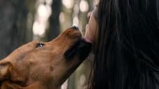 PREY Is Officially The Most-Watched Premiere Of All Time On Hulu