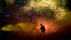 STRANGER THINGS: THE FIRST SHADOW Stage Play Is Being Filmed For Netflix Release