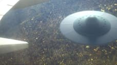 Top 5 UFO Movies To Watch As UFO Sightings In Columbia Raise Eyebrows