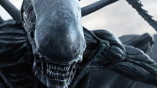 Alien: Ridley Scott Developing New Movie With Prisoners Writer — And Michael Fassbender Could Return