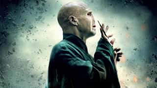 Harry Potter: Will Ralph Fiennes Return As Voldemort In HBO Reboot? Actor Addresses Speculation