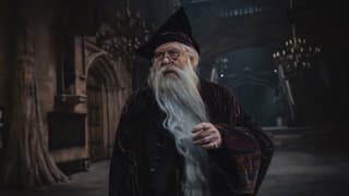 Harry Potter HBO Series Won't Release Every Year As Casey Bloys Confirms Compressed Production Schedule