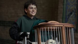 HBO Reveals First Look At Harry Potter's Redesigned Wands For Harry, Ron, Hermione, Draco, And More