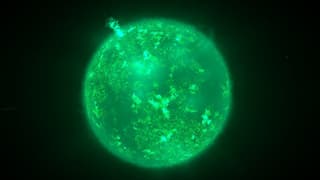 Astronomers Find The First Known Green Star, And It Sounds Like Something Out Of Science Fiction