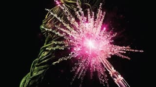 WICKED: FOR GOOD's CinemaScore Revealed As Sequel's Leads Bid Farewell To Elphaba And Glinda