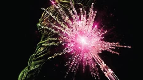 WICKED: FOR GOOD's CinemaScore Revealed As Sequel's Leads Bid Farewell To Elphaba And Glinda