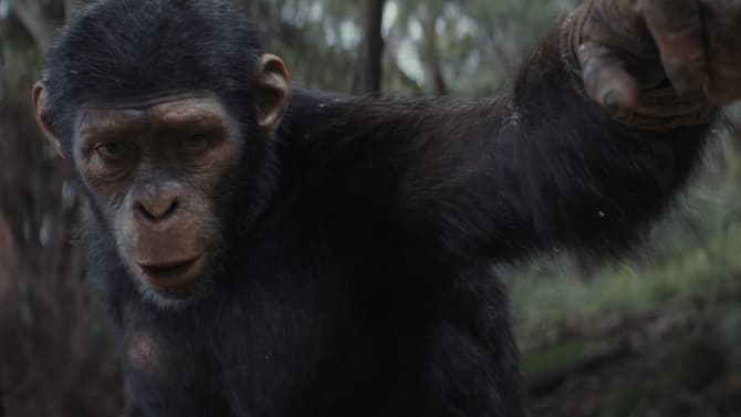 KINGDOM OF THE PLANET OF THE APES Gets An Earlier Release Date; New Stills From The Movie Debut