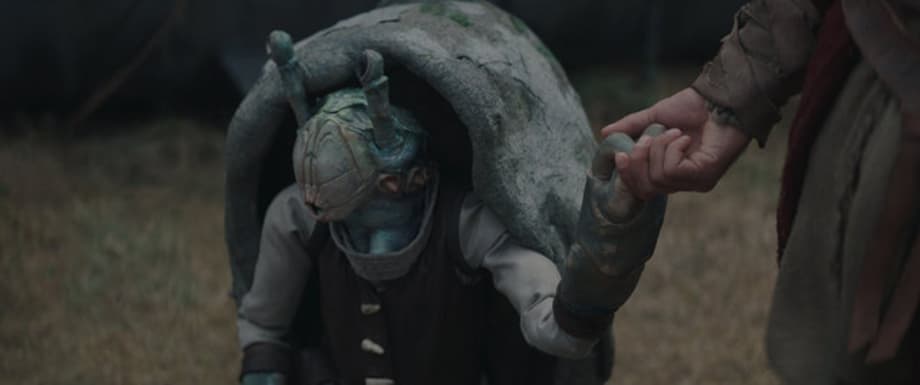 7xk3shhc3vsws44zwb8qp9f3