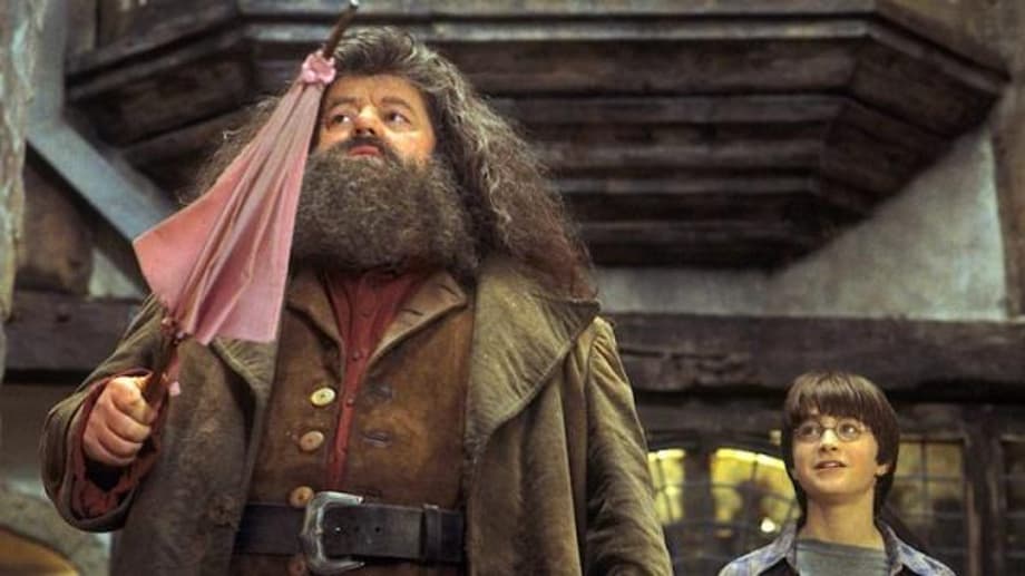 HARRY POTTER Star Robbie Coltrane's Cause Of Death Has Been Revealed