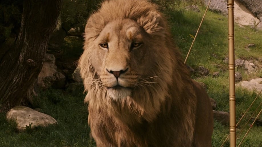 NARNIA: Greta Gerwig's Upcoming Movie May Have Found Its Aslan In Oscar Winner Meryl Streep