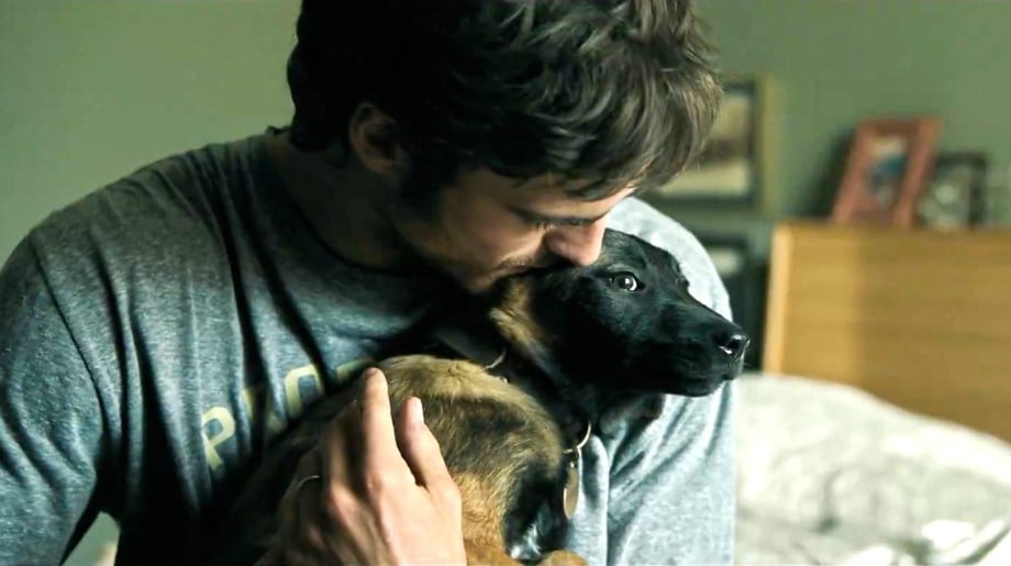 The Dog Stars: Jacob Elordi, Margaret Qualley & Josh Brolin Star In New Trailer For Ridley Scott's Adaptation