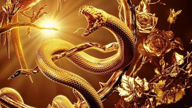 The Hunger Games: The Ballad of Songbirds and Snakes 4K Wallpaper iPhone HD  Phone #2691k