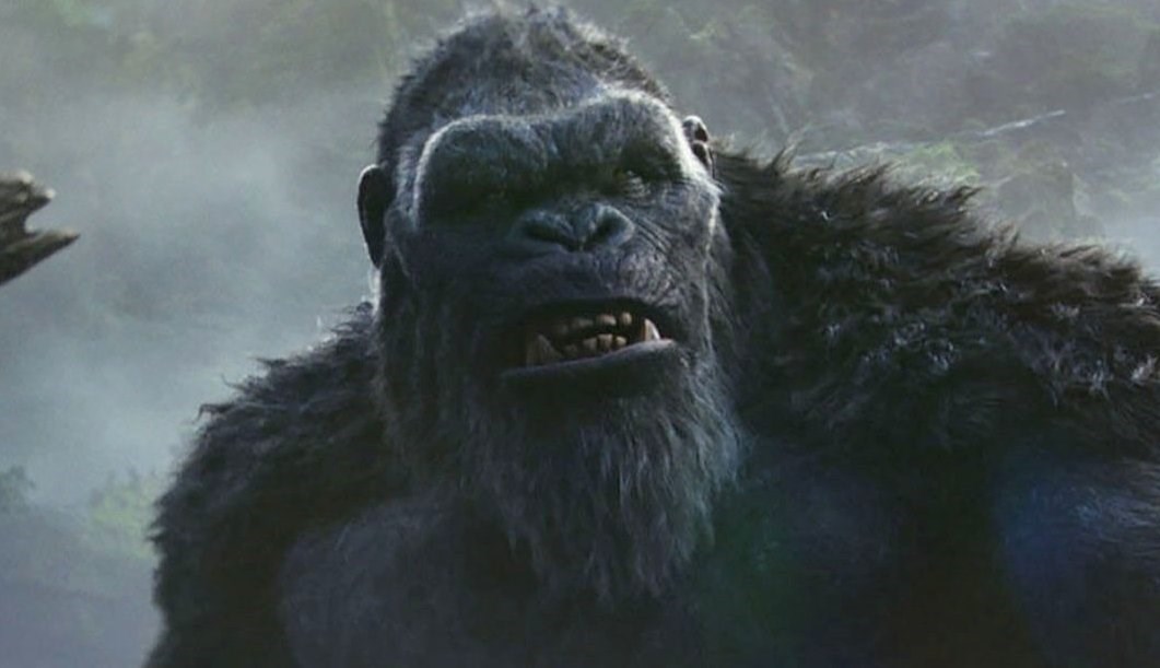 GODZILLA X KONG: THE NEW EMPIRE First Official Stills Spotlight The ...