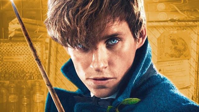 HARRY POTTER: It Appears The FANTASTIC BEASTS Franchise Is Officially